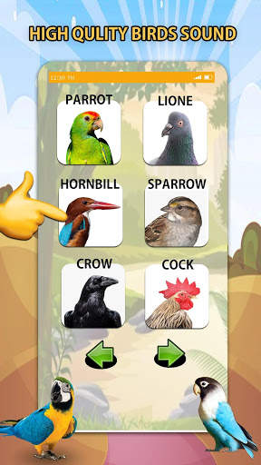 Bird Sounds screenshot 1