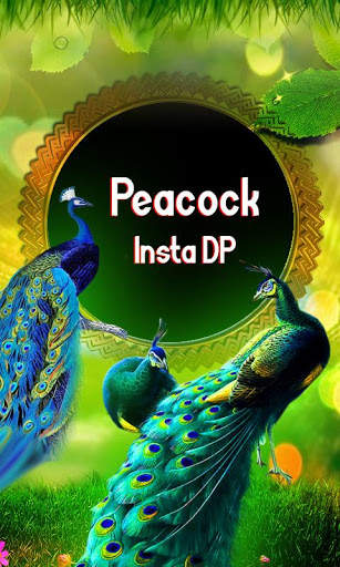 Peacock Insta DP Maker screenshot 3