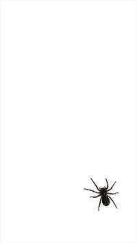 Spider screenshot 2
