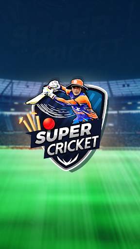 Woman Cricket Games - Quick Batting screenshot 1