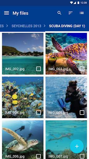 IONOS HiDrive screenshot 3