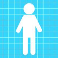 Grid line - posture analysis on 9Apps