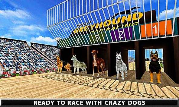 Wild Greyhound Dog Racing screenshot 2