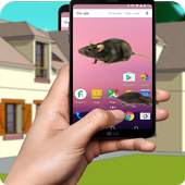 Mouse On Screen plus  funny joke 2017 1.1