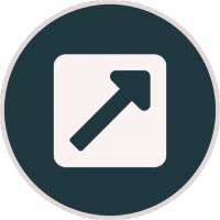 APK Extractor X