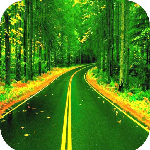 Road Wallpaper 4K 1.27