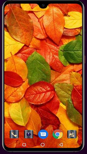 Autumn Wallpaper 4K Latest screenshot 5