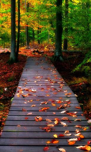 Nature Live Wallpaper Hd screenshot 1