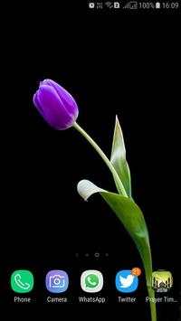 HD Tulip New Wallpaper screenshot 11
