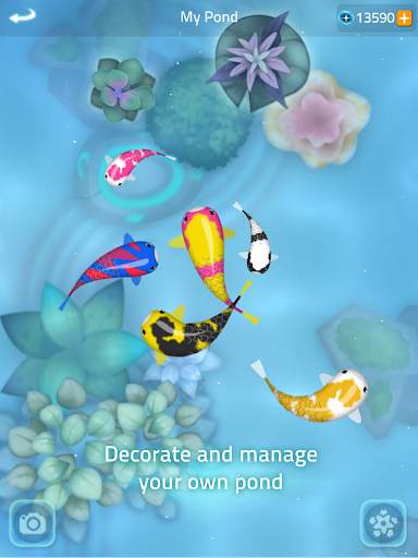 Zen Koi 2 screenshot 13