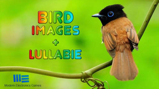 Beautiful Birds स्क्रीनशॉट 1