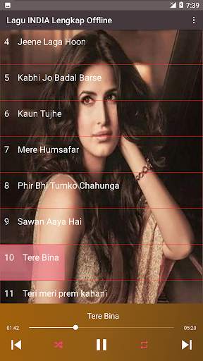 LAGU INDIA POPULER 2021 (BOLLYWOOD SONG) OFFLINE screenshot 3