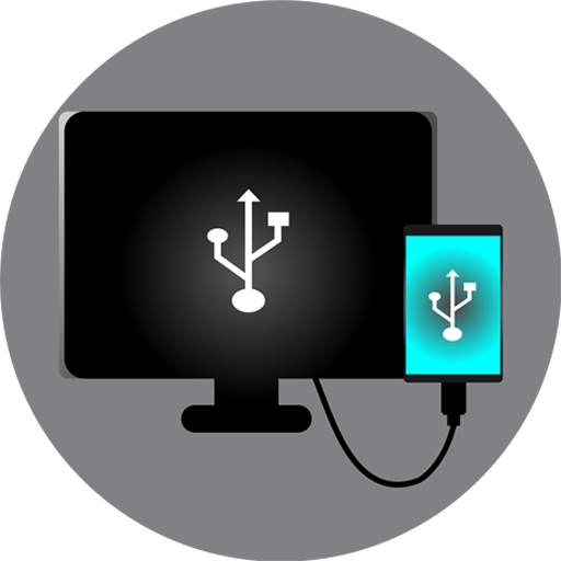 USB Connector Phone to TV 132.0