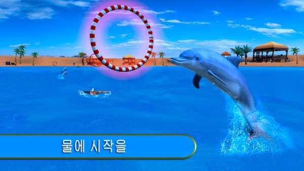 돌고래 재미 경기 screenshot 2