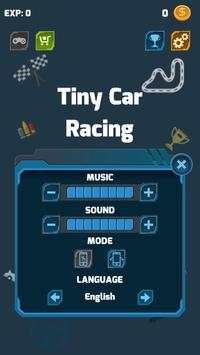 Tiny Car Racing screenshot 7