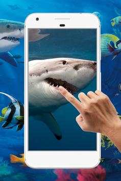 Shark Water Ripple Live Wallpaper screenshot 2