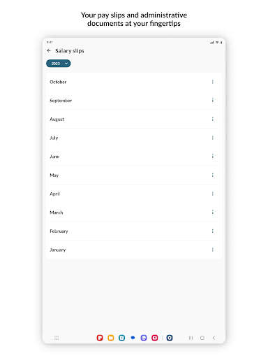 My Silae ex PaiePilote screenshot 14