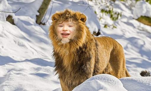 Lion Face Photo Editor screenshot 2