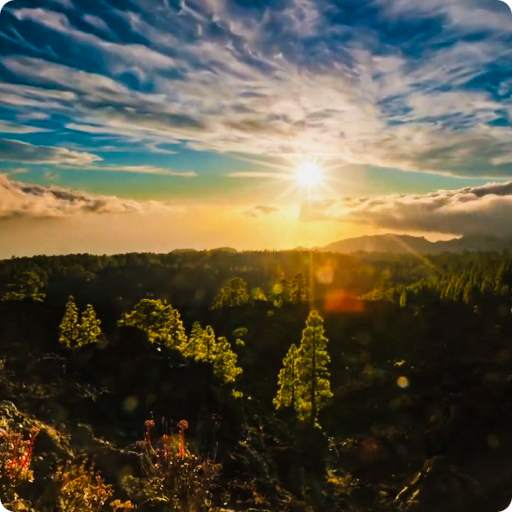 Sunny Mountain Live Wallpaper 3.0