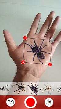 Spider In Hand Prank Funny Joke screenshot 1