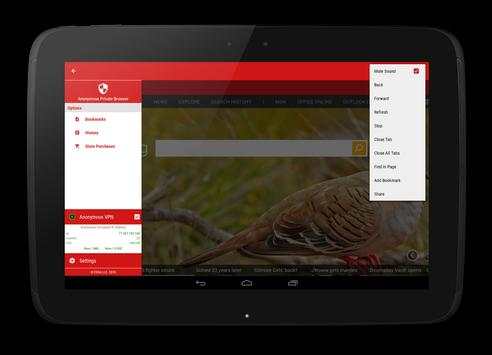 Anonymous Private VPN Browser screenshot 9