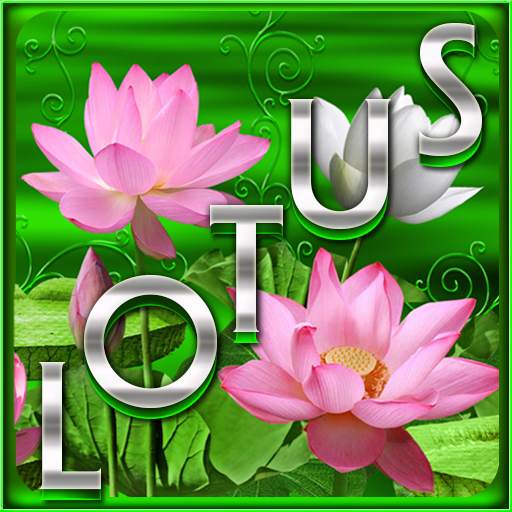Free Lotus  Go Launcher theme v4.4
