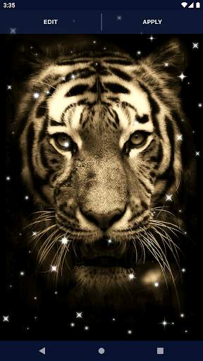 Tiger Live Wallpapers screenshot 6