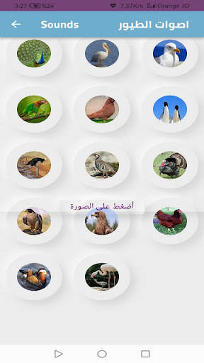 Animal world screenshot 4