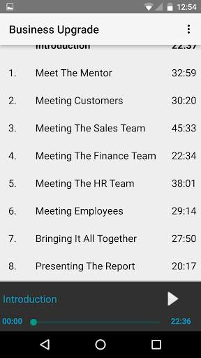 Business Upgrade: AudioBook screenshot 3