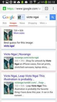 Reverse Image Search screenshot 2