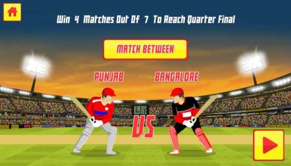 Pro Cricket Tournament screenshot 2