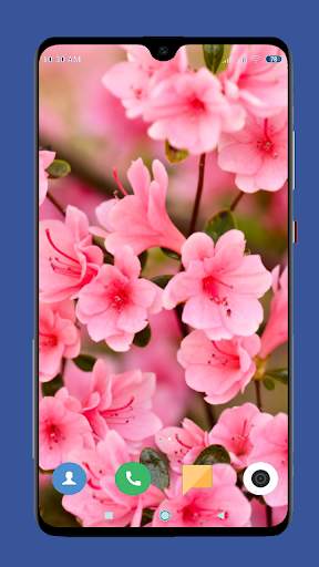 Beautiful Spring Wallpaper  4K screenshot 10