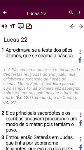 Bíblia de estudo pregai audio screenshot 4