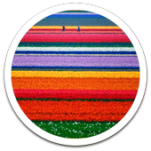 Photo HD Spring Dream LWP icon