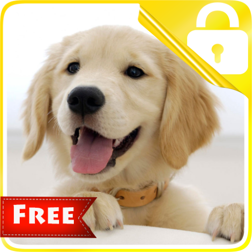 Golden Retriever Lock Screen icon