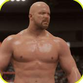 Fight WWE Action 2k17 2.0.0