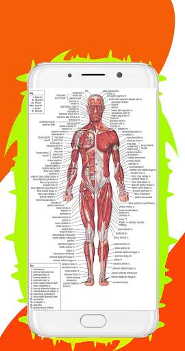Human Body System – All Body System Offline screenshot 2