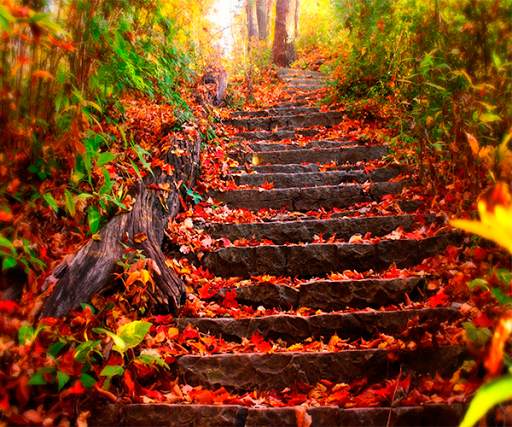 Autumn Live Wallpaper screenshot 2