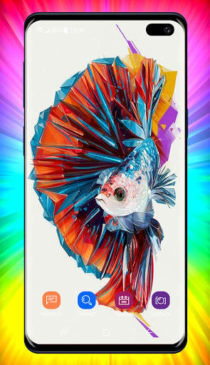 Betta Fish Wallpaper screenshot 6