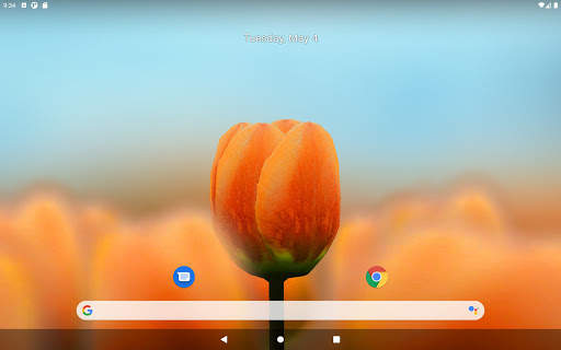 3D Tulip Live Wallpaper screenshot 6