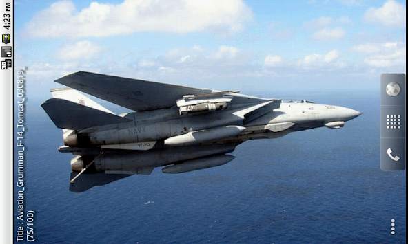 F-14 Live Wallpaper Lite screenshot 8