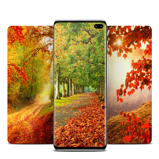 Autumn Wallpaper icon