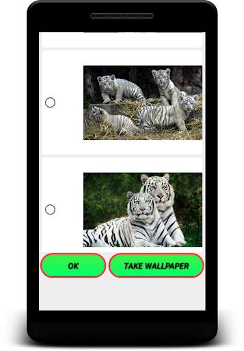 Bengal Tiger Wallpaper - Scree screenshot 12
