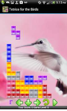 Tetrice for the Birds screenshot 4
