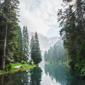 Themeforest Wallpaper Android HD-4K Plus Ringtone icon