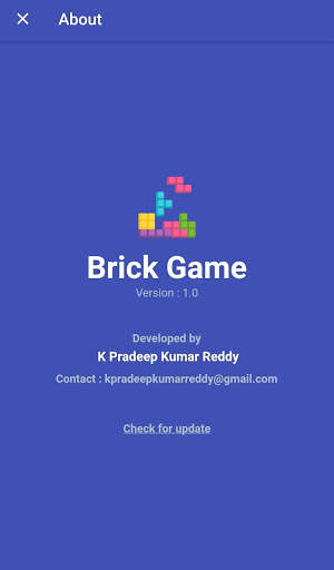 Brick Game screenshot 8