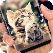 Cat Keyboard Cute Kitten Theme icon