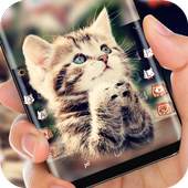Cat Keyboard Cute Kitten Theme 10001002