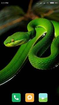 HD Snake Wallpapers screenshot 16