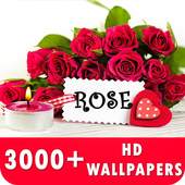 Rose Live Wallpapers HD 1.0.0